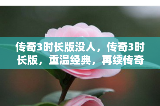 传奇3时长版没人，传奇3时长版，重温经典，再续传奇