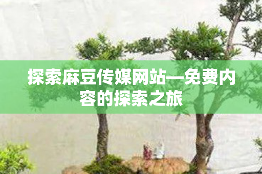 探索麻豆传媒网站—免费内容的探索之旅