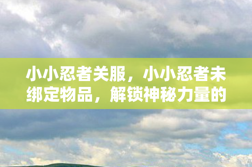 小小忍者关服，小小忍者未绑定物品，解锁神秘力量的钥匙
