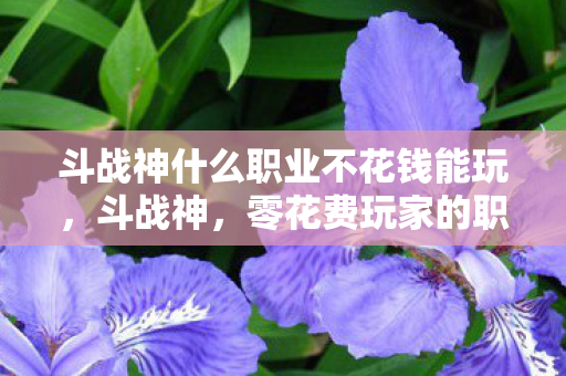 斗战神什么职业不花钱能玩，斗战神，零花费玩家的职业选择指南