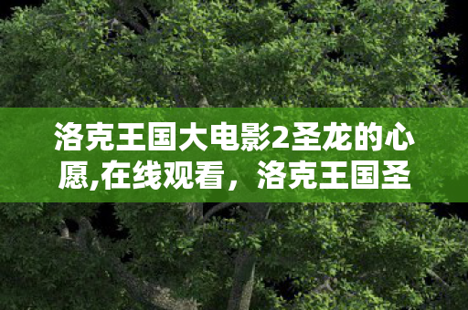 洛克王国大电影2圣龙的心愿,在线观看，洛克王国圣龙大电影，奇幻冒险的启程
