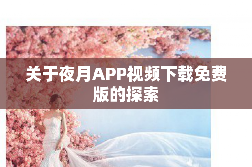关于夜月APP视频下载免费版的探索