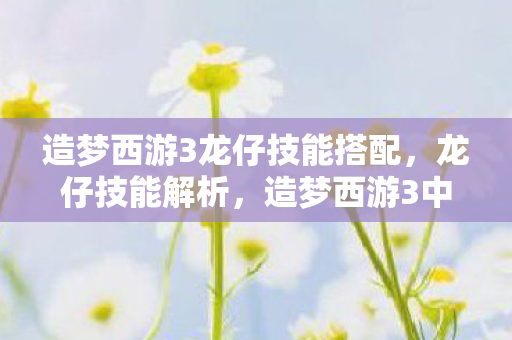 造梦西游3龙仔技能搭配，龙仔技能解析，造梦西游3中的萌宠战斗艺术
