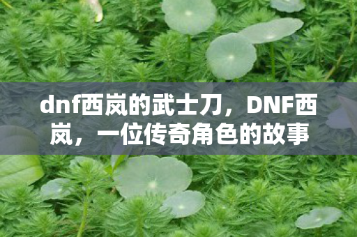 dnf西岚的武士刀，DNF西岚，一位传奇角色的故事