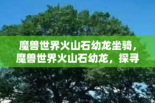魔兽世界火山石幼龙坐骑，魔兽世界火山石幼龙，探寻古老传说的神秘生物