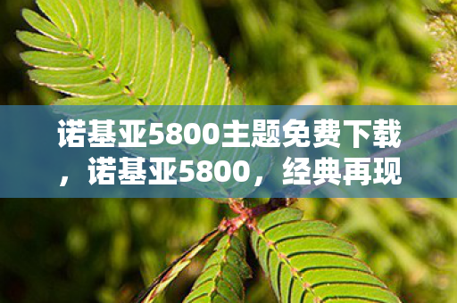诺基亚5800主题免费下载,诺基亚5800,经典再现,永恒的主题 诺基亚5800主题免费下载,诺基亚5800,经典再现,永恒的主题