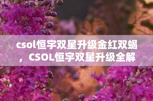 csol恒宇双星升级金红双蝎,CSOL恒宇双星升级全解析,打造最强武器,征服战场! csol恒宇双星升级金红双蝎,CSOL恒宇双星升级全解析,打造最强武器,征服战场!