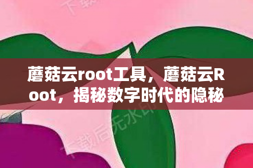 蘑菇云root工具，蘑菇云Root，揭秘数字时代的隐秘角落