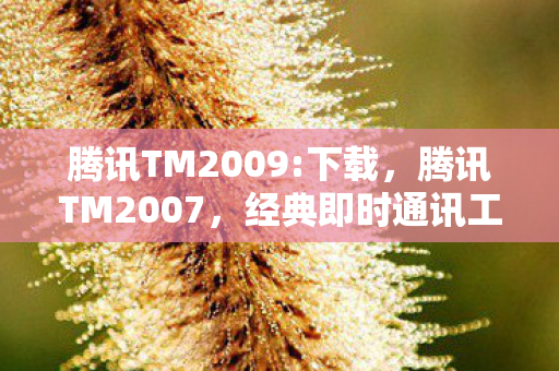 腾讯TM2009:下载，腾讯TM2007，经典即时通讯工具的辉煌与变迁