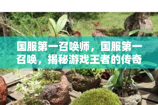 国服第一召唤师，国服第一召唤，揭秘游戏王者的传奇之路