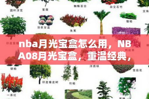 nba月光宝盒怎么用，NBA08月光宝盒，重温经典，见证传奇