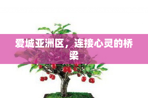 爱城亚洲区，连接心灵的桥梁