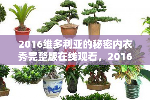 2016维多利亚的秘密内衣秀完整版在线观看，2016维多利亚的秘密内衣秀，时尚与梦幻的完美结合