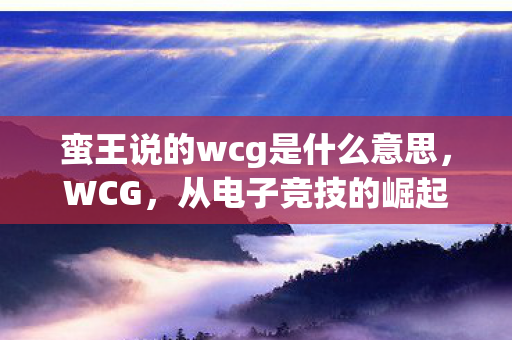 蛮王说的wcg是什么意思，WCG，从电子竞技的崛起看全球游戏文化的融合