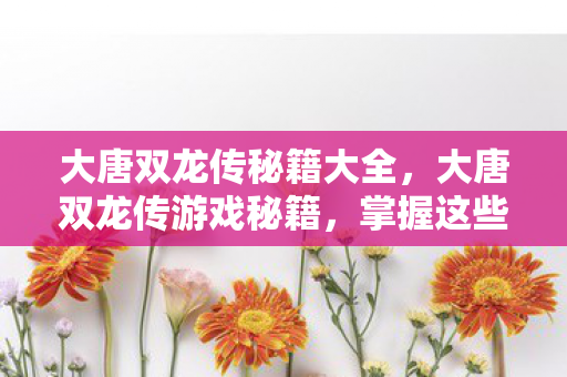 大唐双龙传秘籍大全，大唐双龙传游戏秘籍，掌握这些技巧，助你成为江湖霸主