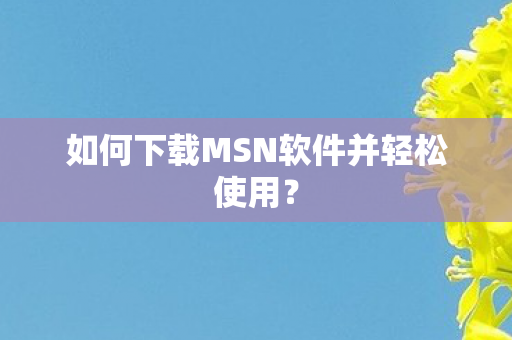 如何下载MSN软件并轻松使用？