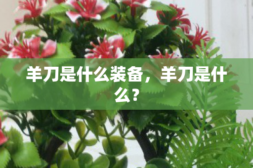 羊刀是什么装备,羊刀是什么? 羊刀是什么装备,羊刀是什么?