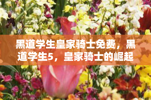 黑道学生皇家骑士免费，黑道学生5，皇家骑士的崛起