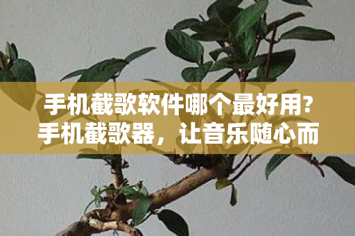 手机截歌软件哪个最好用?手机截歌器，让音乐随心而动的利器
