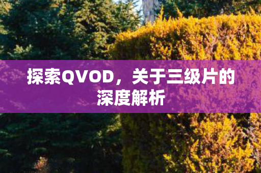 探索QVOD，关于三级片的深度解析