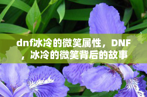 dnf冰冷的微笑属性,DNF,冰冷的微笑背后的故事 dnf冰冷的微笑属性,DNF,冰冷的微笑背后的故事
