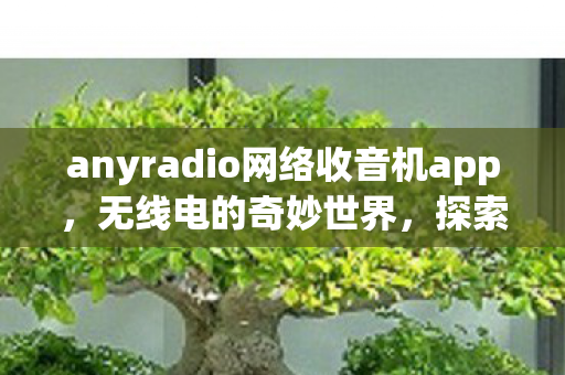 anyradio网络收音机app,无线电的奇妙世界,探索AnyRadio的无限可能 anyradio网络收音机app,无线电的奇妙世界,探索AnyRadio的无限可能