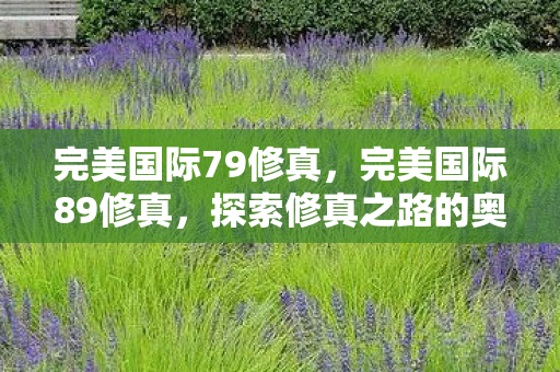完美国际79修真，完美国际89修真，探索修真之路的奥秘