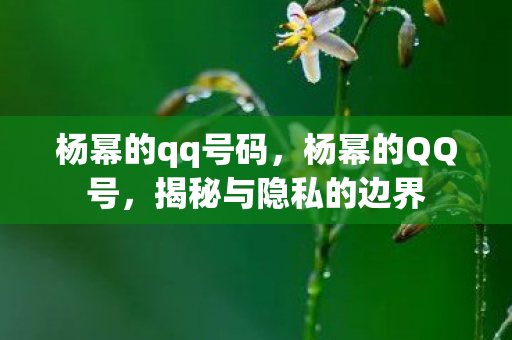 杨幂的qq号码，杨幂的QQ号，揭秘与隐私的边界