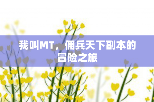 我叫MT，佣兵天下副本的冒险之旅
