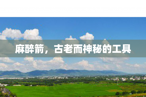 麻醉箭，古老而神秘的工具