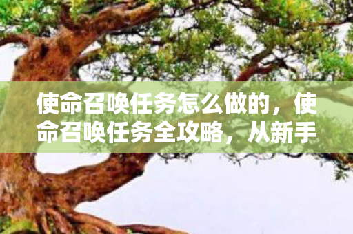 使命召唤任务怎么做的，使命召唤任务全攻略，从新手到高手的进阶之路