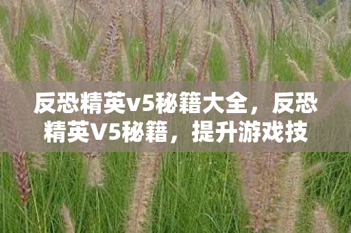 反恐精英v5秘籍大全，反恐精英V5秘籍，提升游戏技巧与战术策略的全面指南
