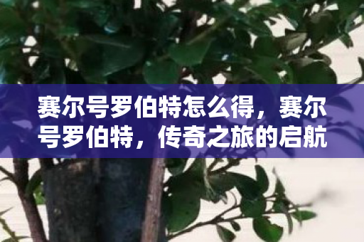 赛尔号罗伯特怎么得，赛尔号罗伯特，传奇之旅的启航