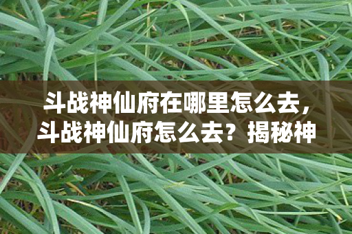 斗战神仙府在哪里怎么去，斗战神仙府怎么去？揭秘神秘仙境的探险之旅