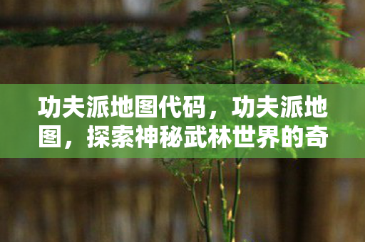 功夫派地图代码，功夫派地图，探索神秘武林世界的奇妙之旅