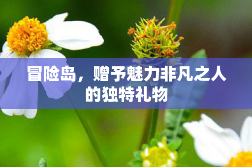 冒险岛,赠予魅力非凡之人的独特礼物 冒险岛,赠予魅力非凡之人的独特礼物