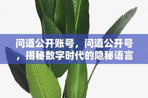 问道公开账号，问道公开号，揭秘数字时代的隐秘语言