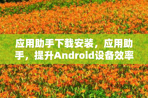 应用助手下载安装，应用助手，提升Android设备效率的必备工具