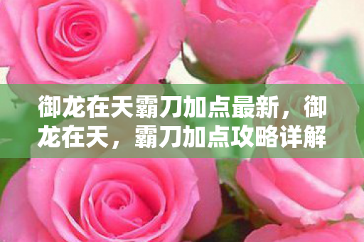 御龙在天霸刀加点最新，御龙在天，霸刀加点攻略详解