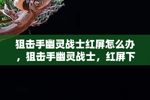 狙击手幽灵战士红屏怎么办，狙击手幽灵战士，红屏下的致命一击