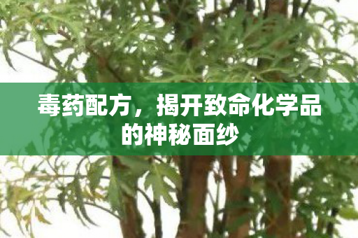 毒药配方,揭开致命化学品的神秘面纱 毒药配方,揭开致命化学品的神秘面纱