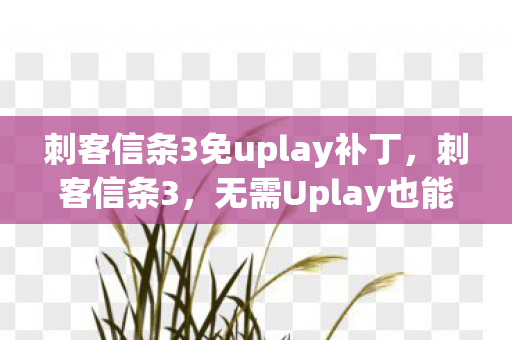 刺客信条3免uplay补丁,刺客信条3,无需Uplay也能畅享经典 刺客信条3免uplay补丁,刺客信条3,无需Uplay也能畅享经典