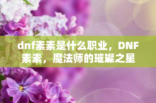 dnf素素是什么职业，DNF素素，魔法师的璀璨之星