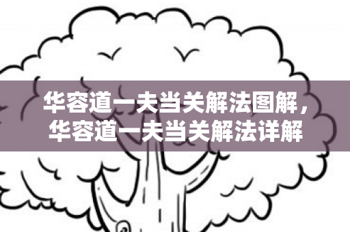 华容道一夫当关解法图解，华容道一夫当关解法详解
