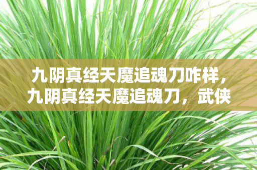 九阴真经天魔追魂刀咋样，九阴真经天魔追魂刀，武侠世界中的绝世刀法