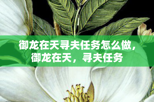 御龙在天寻夫任务怎么做，御龙在天，寻夫任务