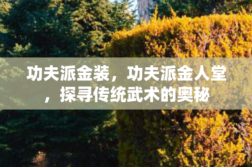 功夫派金装，功夫派金人堂，探寻传统武术的奥秘