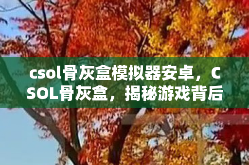 csol骨灰盒模拟器安卓,CSOL骨灰盒,揭秘游戏背后的神秘传说 csol骨灰盒模拟器安卓,CSOL骨灰盒,揭秘游戏背后的神秘传说
