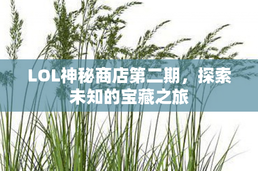 LOL神秘商店第二期，探索未知的宝藏之旅