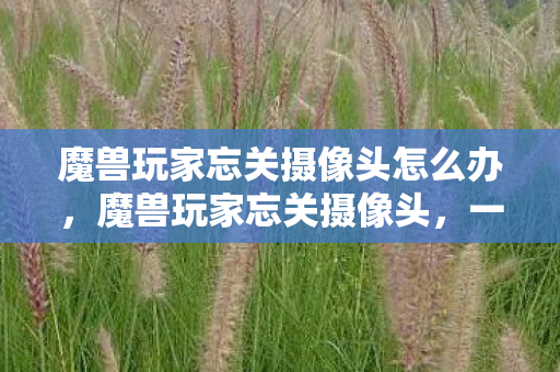 魔兽玩家忘关摄像头怎么办,魔兽玩家忘关摄像头,一场意外的直播秀 魔兽玩家忘关摄像头怎么办,魔兽玩家忘关摄像头,一场意外的直播秀